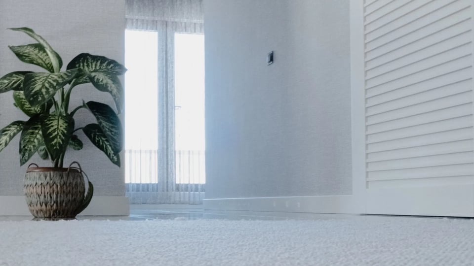 Carpet Cleaning